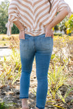 CAMBRIA ARTICLES OF SOCIETY DENIM