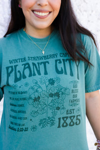 WINTER STRAWBERRY BAND COMFORT COLORS TEE