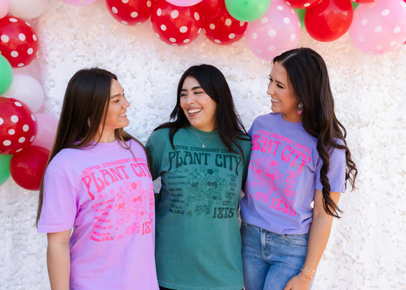 WINTER STRAWBERRY BAND COMFORT COLORS TEE