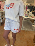 EMBROIDERED USA FLAG SHORTS